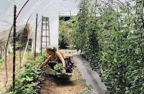 Battle Ground House | Tranquil organic microfarm with farm animals & AC in charming Battle Ground