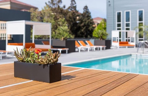 North San Jose Apartment | TRIBE Clean, Modern & New 1BR in North San Jose