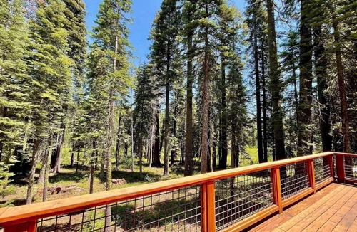 Tahoe Pines House | West Shore Woodsy Escape