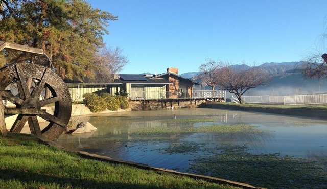 12 acre Ranch with Pickle Ball with lights, Pool, Jacuzzi views and Cows