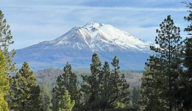 30 Night Minimum, Shasta View Villa