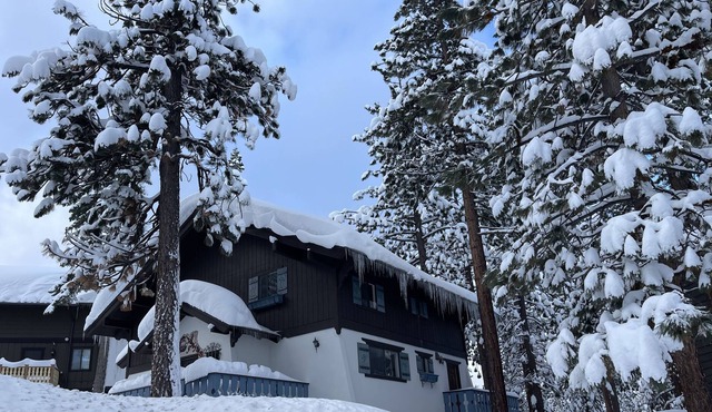 3338 pine hill road