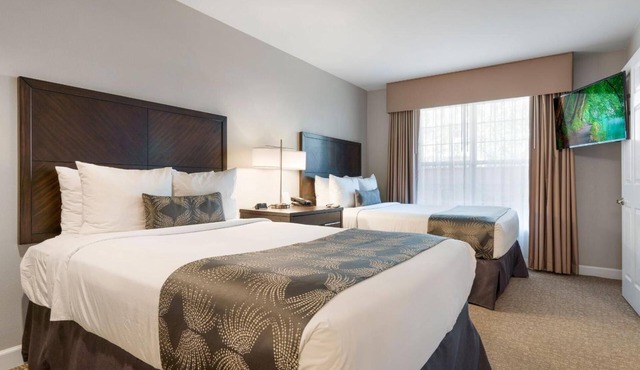 4 Units: Suite w/Full Kitchen & Free Hot Breakfast near Brea Mall - 3.3 mi