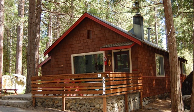 (78) Ox Yoke at The Redwoods In Yosemite