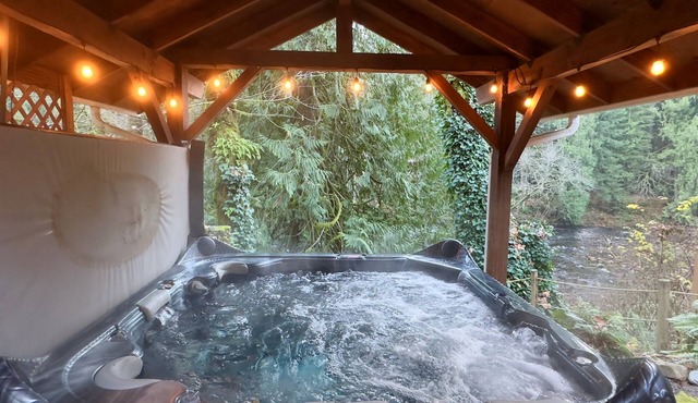 8BR Riverfront Estate Sleep 22 ADA Sauna+Spa