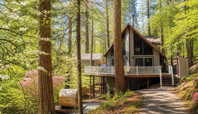 A-Frame Cabin BBQ Sauna Hot Tub Projector Fire Pit