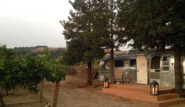 Airstream Beneath The Redwood Trees Among The Grapevines.