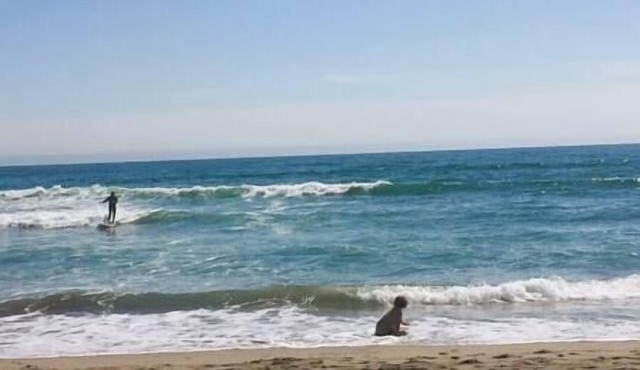 Aptos Creek Oasis, Aptos Creek Oasis