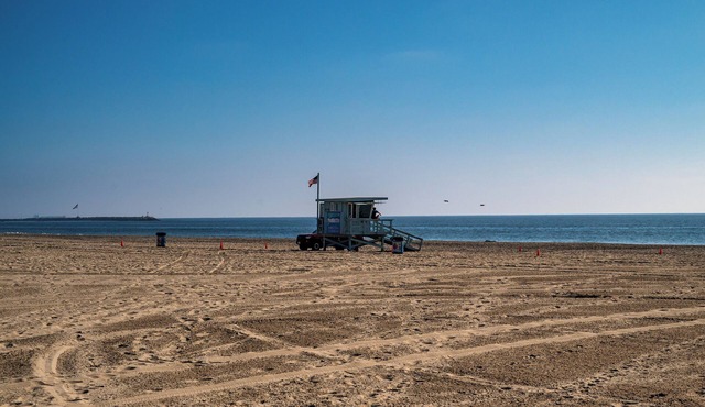 Beach Lover's Bliss 2 Blocks to Ocean in Venice: In-Unit Washer/Dryer+Parking