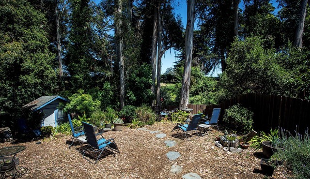 Beautiful Midtown Santa Cruz Nature Retreat Available for 1 - 3 Months