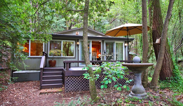 Bird Watch From Private Spa, Teahouse, Wine Country, Dog Friendly!