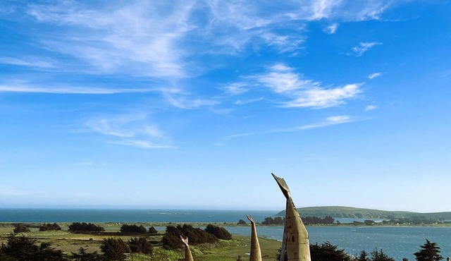 Bodega Ocean View - Beautiful, private hilltop location with expansive views.