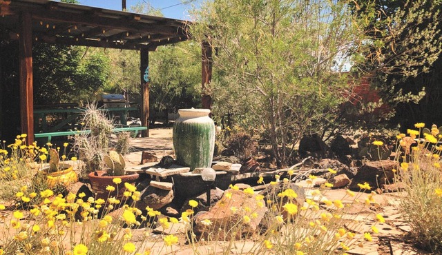 Cabin 5 - The Cactus Wren at Spin & Margie’s