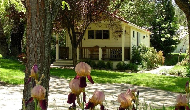 Camping Cabin Perfect for Families near the Shasta-Trinity National Forest, California