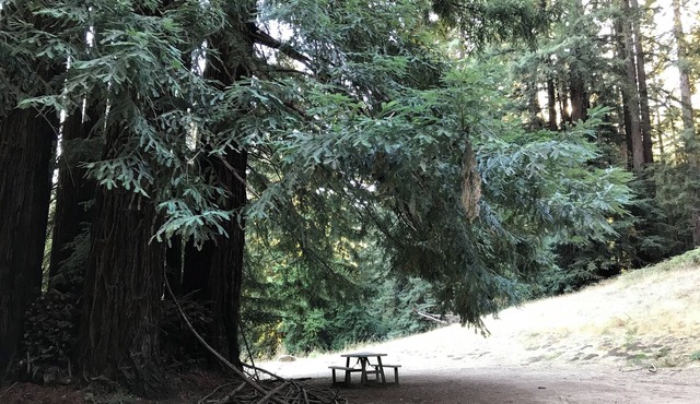 Campsite #8 with hot water shower in 45acre Redwood Mountain Retreat