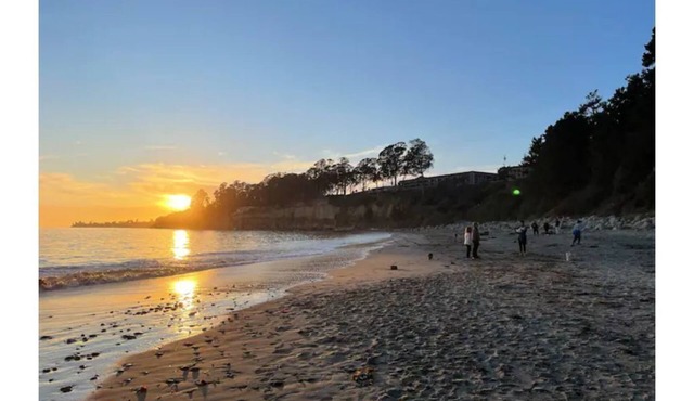 Capitola Nest: 1 Bedroom Suite with Living/Kitchen