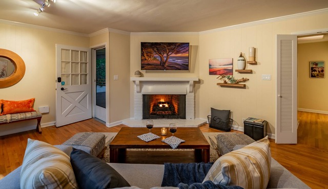 Casa Palmas North - Cozy Montecito Beach house