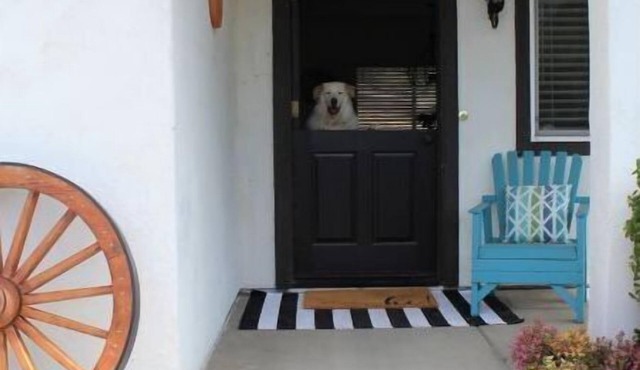 Casita dos Robles Fallbrook's Favorite Dog-friendly Country Escape