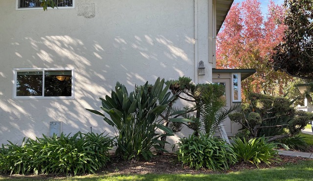 Charming 1-bedroom condo with AC in fabulous Los Gatos