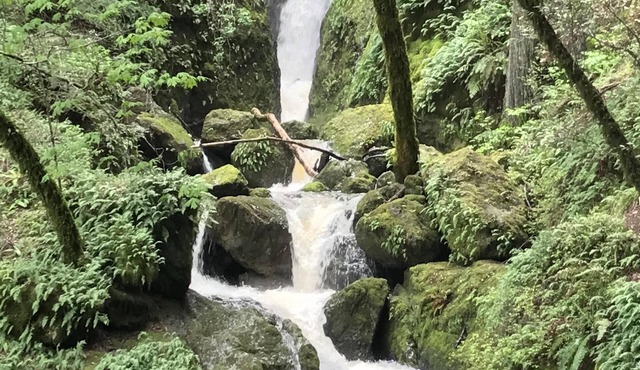 Charming Country Get-Away, 35 Minutes From San Francisco