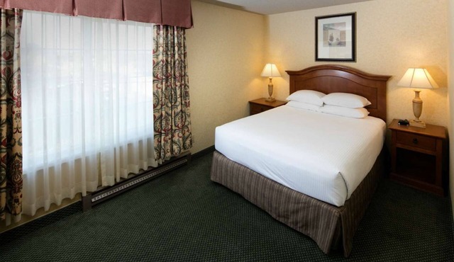 Charming Pet-Friendly Room Near Redwood Forest - Easy Access to Hwy 101