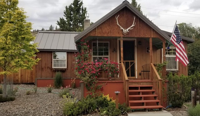 Clean cabin downtown, fresh renovation of 1919 classic