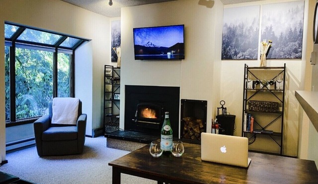 Contemporary MT BAKER Condo