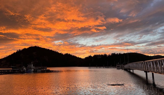 Cornet Bay home at Deception Pass State Park, 100 ft to beach, huge yard pets ok