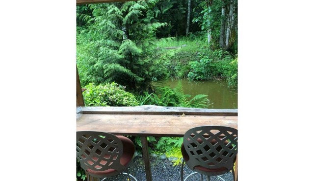 Cozy Cabin Nestled In Magical Olympic Old Growth