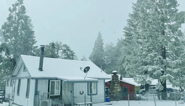 COZY CABIN WITH WRAPAROUND DECK
