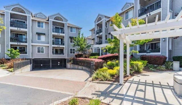Cozy Contemporary 1-bedroom condo in Palo Alto area, very nice & relaxing place
