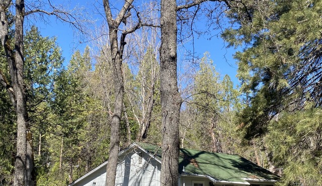 Creekside Cabin near Yosemite