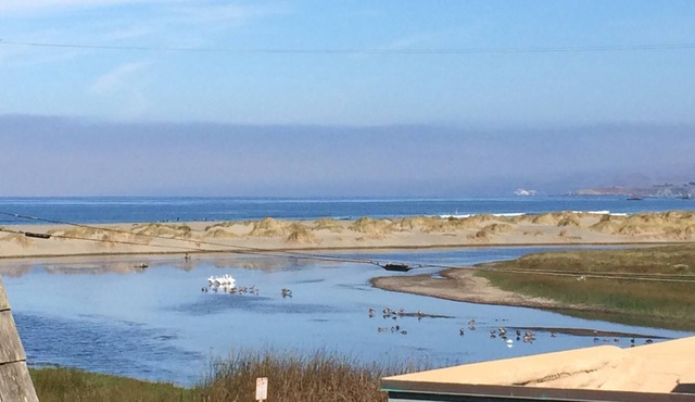 Delightful Home in Salmon Creek Near the Beach w/Private Washer/Dryer, Free WiFi