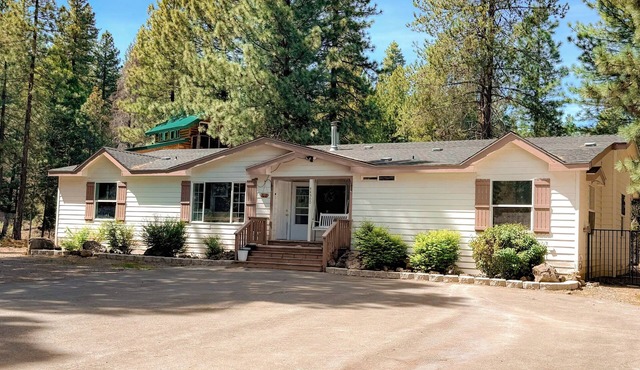 Dog friendly Cabin + Treehouse Retreat on 5 acres