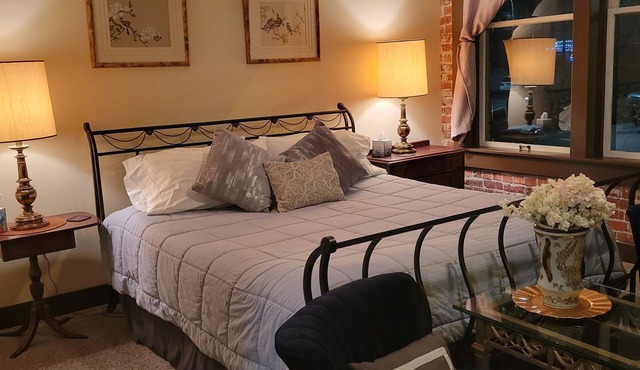 Downtown Cozy Castlerock Suite