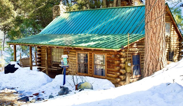 Eat Bacon & Ice Cream in a Log Cabin! PMC Guest Cards/Pool Included!