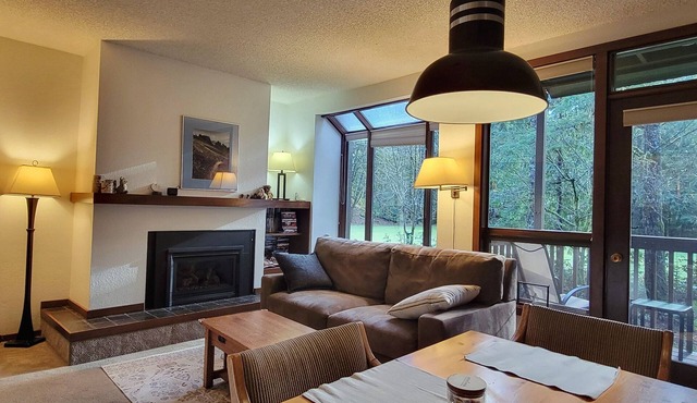Family-Friendly Mt. Baker Resort Condo Pool, Hot Tub, Pets OK