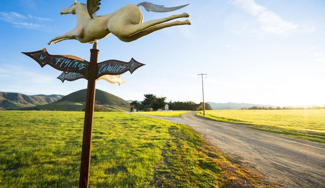 Flying Caballos Ranch, Perfect for your Family Vacation or Private Celebration