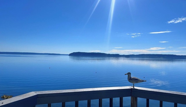 Fox Island Beachfront Retreat - Kayaks, Canoe, Paddle Board & Epic Sunsets