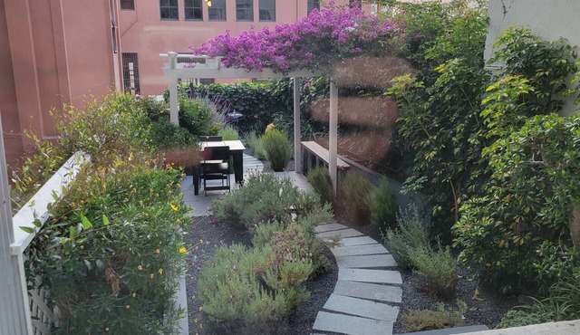 Furnished Modern Rental Nob Hill FiDi: Studio/1BA Unit 7