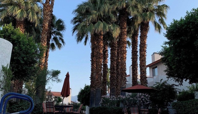 Gorgeous Long-Term Home in Downtown Palm Springs! Walk to Dining & Shopping