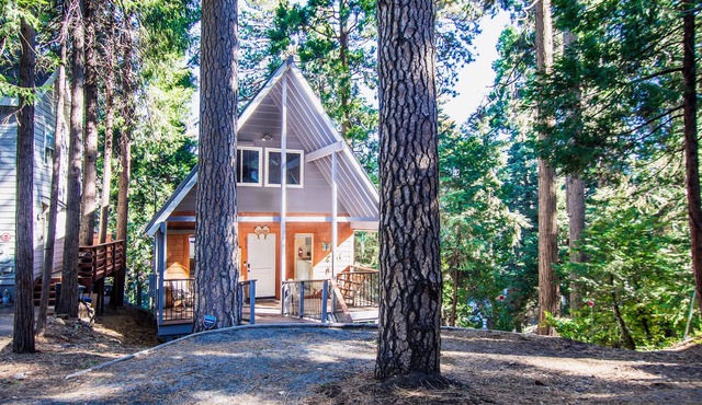 Hideaway in the Trees