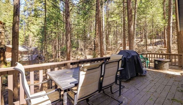 Hike, Ski & Sip: Arnold Cabin 4 Mi to State Park!