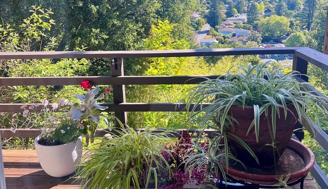 Japanese style inspired 2-bedroom apartment in tranquil Fairfax neighborhood