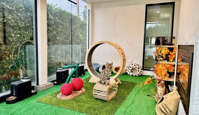 Jie's Choice - Enchanted Garden Hideout