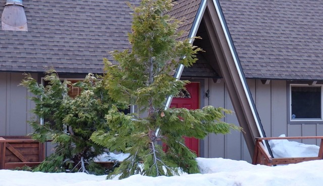 Lake Tahoe gem, 8 minutes to Heavenly, 3 blocks to the Lake and Regan Park
