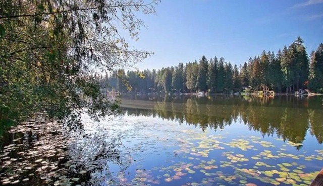 Lakefront private camp site