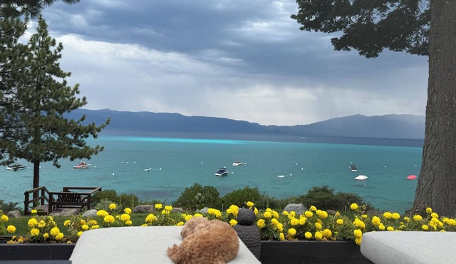 LAKEFRONT ~ PRIVATE PIER ~ PICKLEBALL ~ Lakeside LAWN ~ BUOY ~ TOYS~ Dog OK