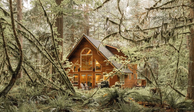Modern Cabin New Hot Tub · Sauna · EV Charger