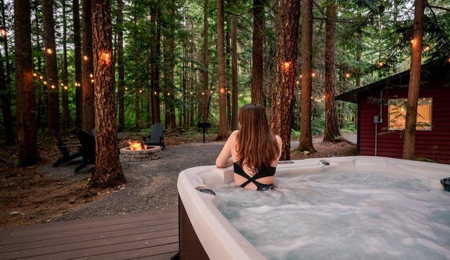 Modern Mt. Baker Cabin With NEW Private Hot Tub